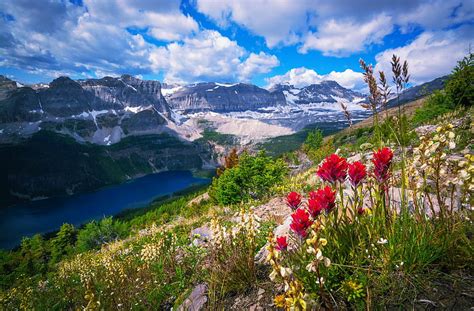 Landscape With Mountain And Lake Wildflowers Slope Bonito Lake