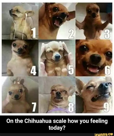 How Are You Feeling Meme Chart