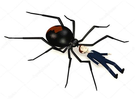 3d Render Of Cartoon Character With Black Widow Spider — Stock Photo