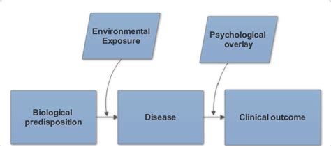 Biomedical Model Of Disease Download Scientific Diagram