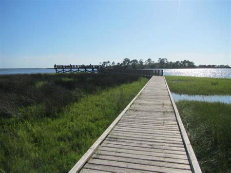 Shell Mound Cedar Key Updated 2020 All You Need To Know Before You