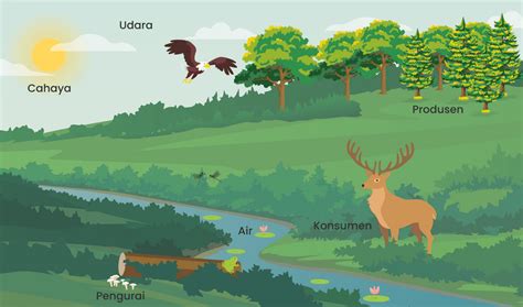 Komponen Abiotik Ekosistem Pelajari Pengertian Contoh Vrogue Co