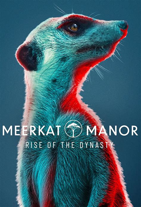 Meerkat Manor Rise Of The Dynasty 2021 S01e06 The Outcast