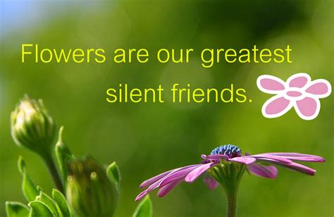 Friends are flowers in the garden of life. More Gardening Quotes - Primrose Blog