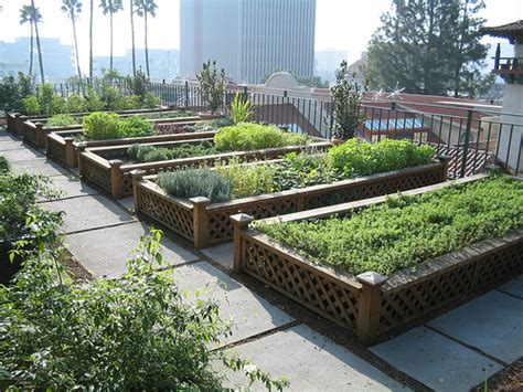 Green Gardens Rooftop Gardens In The City One Hundred