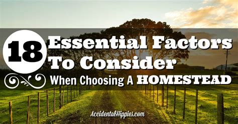 Buying Homestead Land 18 Items To Consider Before You Purchase How