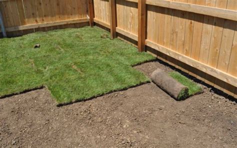 How To Install Sod Grass And How Much To Water Sod Grass Pad