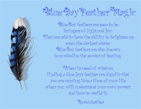 Blue Jay feather magic | Jay feather, Feather magic, Blue jay feather