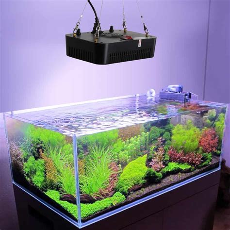 Top 3 Led Lights For Your Planted Aquarium And Guide The Aquarium Adviser Led Aquarium