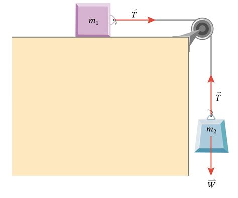 Newtonian Mechanics Internal Forces In A Pulley System Standing Still