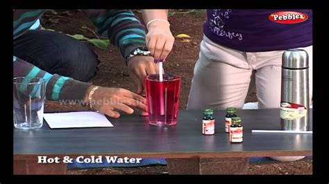 Hot And Cold Water Science Experiments For Kids Science Projects