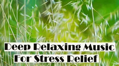 Music For Stress Relief 30 Min Relaxation Music For Stress Relief And Healing Meditation Youtube