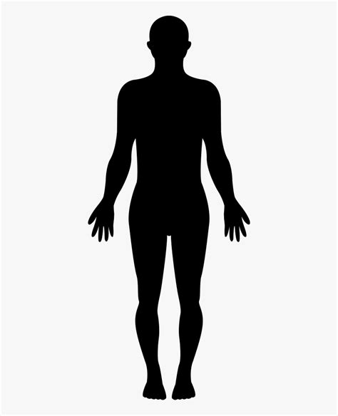 Standing Human Body Silhouette Svg Png Icon Free Download Human Body