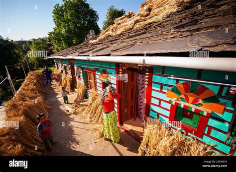 Indian Woman In His House Where A Bunch Of Wheat Is Drying In The Sun Kala Agar Village Kumaon