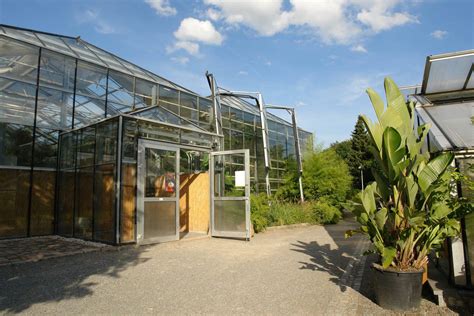 Things to do in halle (saale). Botanischer Garten Halle Elegant Botanischer Garten ...