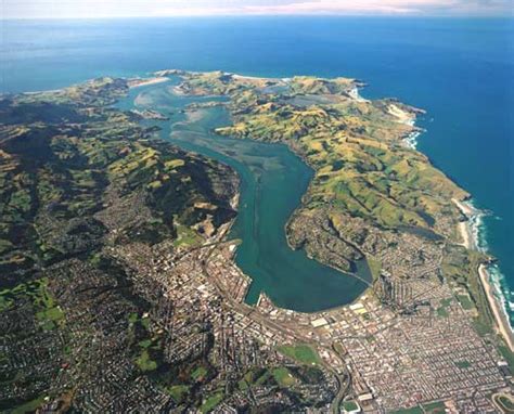 Otago Peninsula And Harbour Otago Region Te Ara