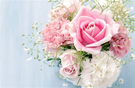 fonds d ecran roses bouquets rose couleur fleurs télécharger photo