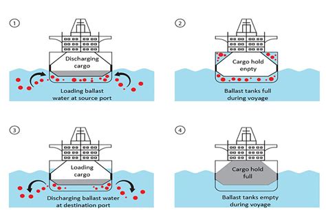 View 43 Cargo Ship Ballast System Diagram