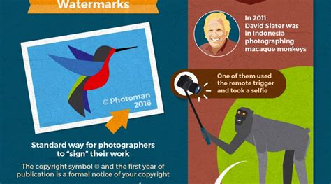 A Photographers Guide To Image Copyright The Visual Communication Guy