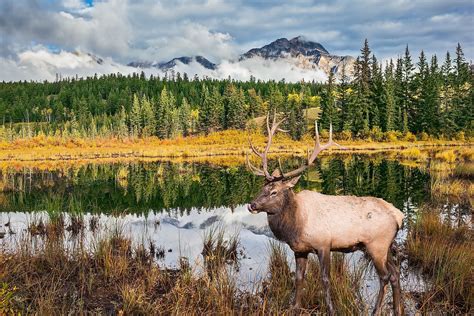 Canadas 10 Most Popular National Parks Worldatlas