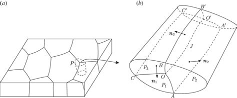 Two equally charged spheres of mass 1.0 g are placed 2.0 cm apart. (a) Schematic of a polycrystal in three-dimension. (b) The region P... | Download Scientific Diagram