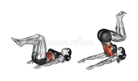 Fitness Exercising Reverse Crunch Female Stock Illustration