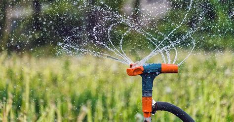 How To Properly Water Your Garden With Water Systems Inside The Yard