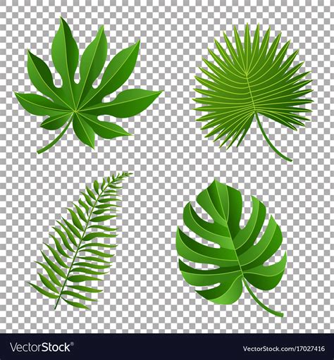 Tropical Leaves Royalty Free Vector Image Vectorstock