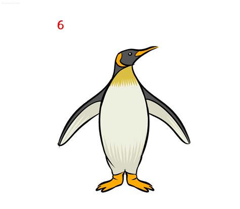 Penguin Drawing How To Draw A Penguin