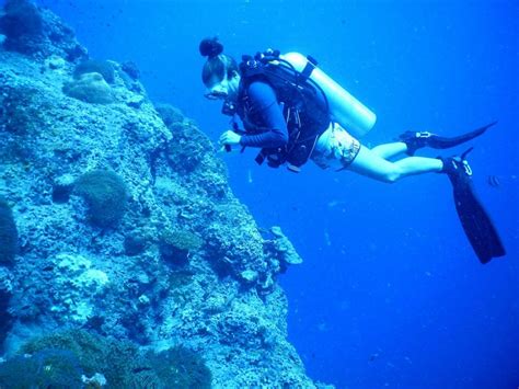 S Engager Dans La Marine Sans Diplome - Volontariat + plongée sous-marine : s'engager la tête sous l'eau
