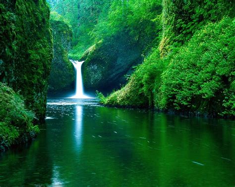 Small Waterfall In Peaceful Nature All Hd Wallpaper Pxfuel