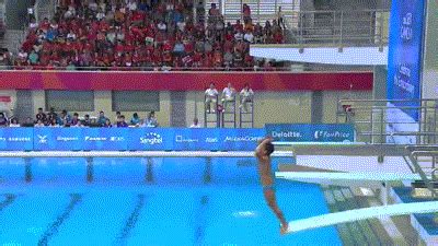 Olympic diving olympics gifs, reaction gifs, cat gifs, and so much more. Cheezburger Image 9221596928 | Sports fails, Embarrassing ...