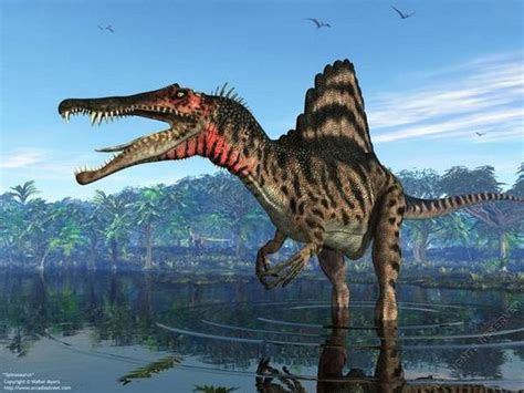 These 10 Super Dangerous Dinosaurs Make Me Glad They Went Extinct Barnorama