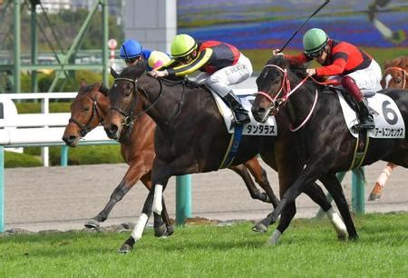 We did not find results for: ブエナビスタの娘タンタラスが初勝利/競馬・レース/デイリースポーツ online