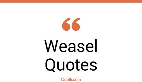 45 Remarkable Weasel Quotes That Will Unlock Your True Potential