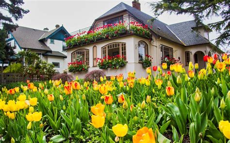 11 Photos Of The Famous Beach Drive ‘tulip House In Oak Bay Photos