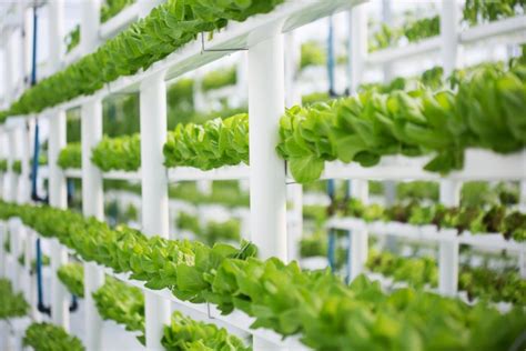 Advanced Monitoring In Hydroponics Agrowtronics Iiot For Growing