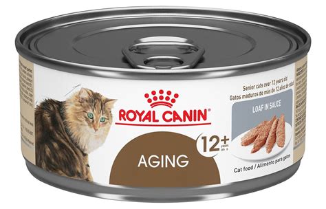 Selamat datang di mypets indonesia. Best Cat Food for Older Cats (Top Picks) | PurrfectKittyCat