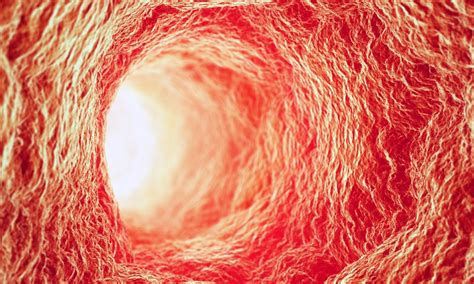 Researchers Successfully 3d Print Blood Vessels A Game Changer For