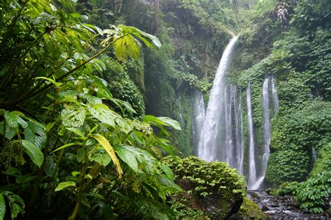 tropics, Forests, Waterfalls, Jungle, Nature Wallpapers HD / Desktop ...