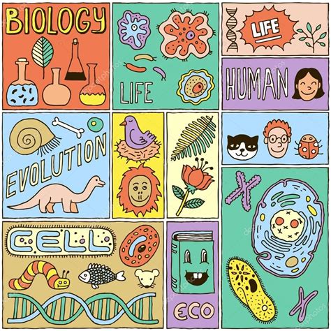 8 Ideas De Dibujos De Biologia Dibujos De Biologia Pergamino Antiguo