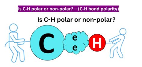 Is C H Polar Or Nonpolar Polarity Of C H Bond