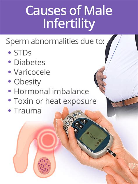 Causes Of Male Inferlity Male Infertility Male Factor Infertility