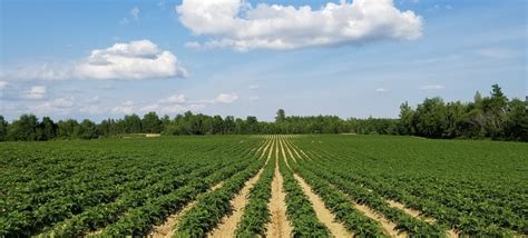 Georgia Approves New Elementary Agriculture Courses Georgia Public