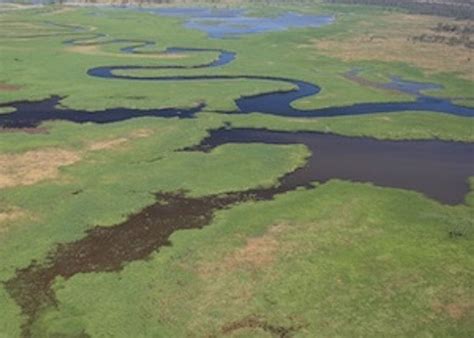 Huge Murray Darling Wetland Saved By 55m Sale To Conservationists