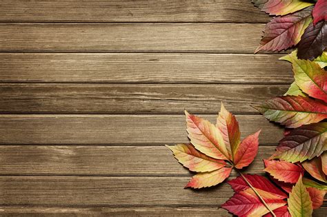 Tips For Autumn Home Maintenance Embassy Cleaners