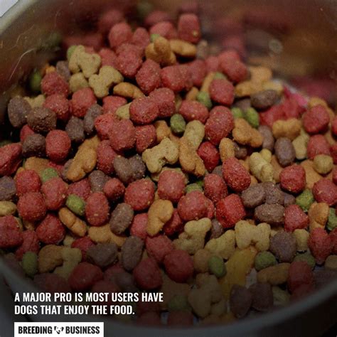 12 Best Dog Foods For Giant Breeds Tips In Choosing The Right One