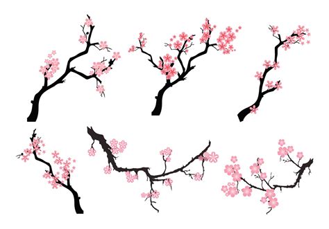 Branch Vector At Vectorified Collection Of Branch Vector Free For
