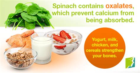 Spinach (spinacia oleracea) is a leafy green flowering plant native to central and western asia. Should I avoid spinach if I have osteoporosis?