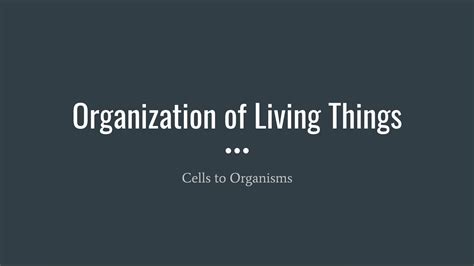 Organization Of Living Things Youtube